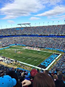 Our First Carolina Panthers Game!!!