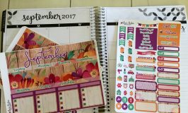 Planner Sticker Haul