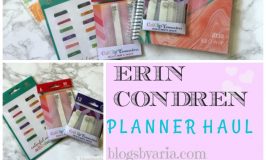 Erin Condren Haul