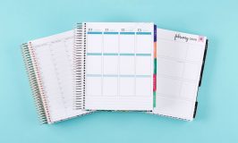 Erin Condren 2019 Life Planner Launch