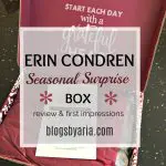 Erin Condren Fall Seasonal Surprise Box #ECSurpriseBox
