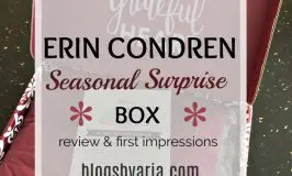 Erin Condren Fall Seasonal Surprise Box