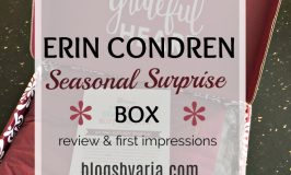 Erin Condren Fall Seasonal Surprise Box