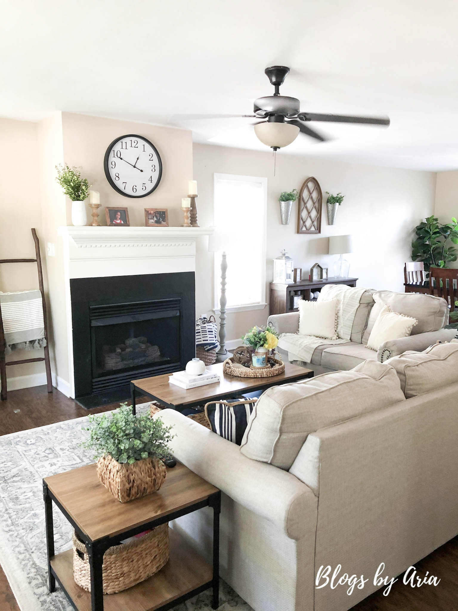 Neutral Family Room Blogs by Aria