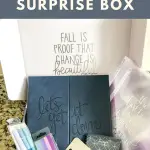 erin condren seasonal surprise box
