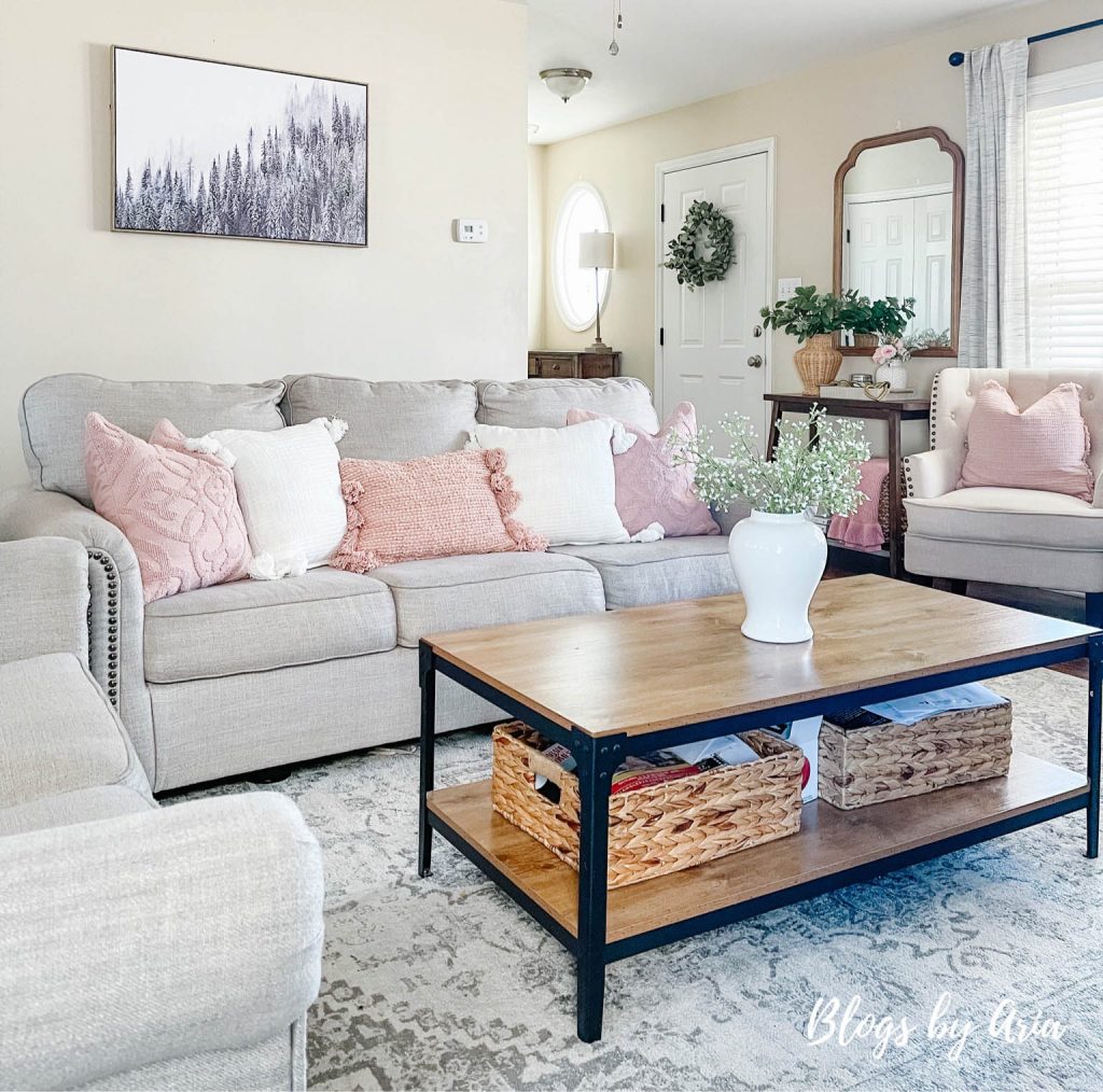 pink throw pillows for living room