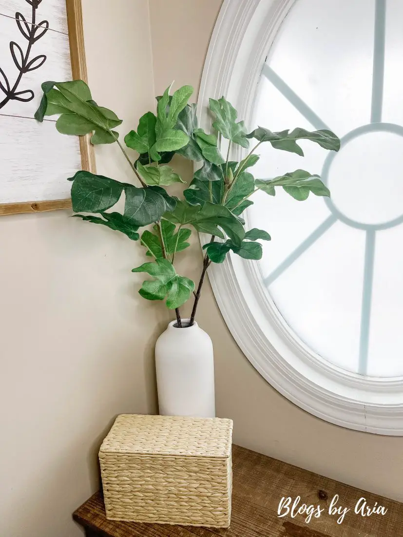 tall white vase with fig leaf stems