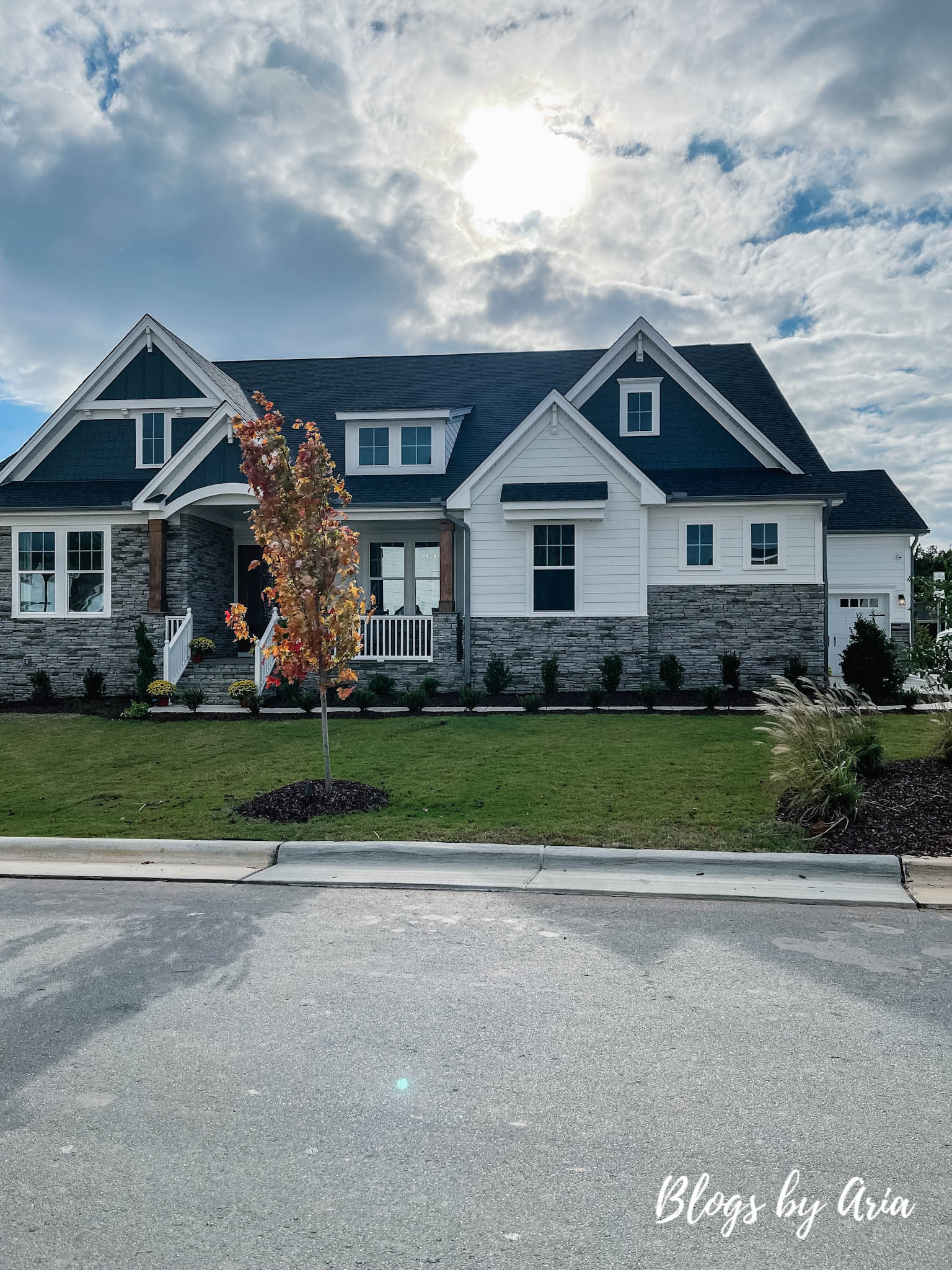 charming craftsman exterior parade of homes tour