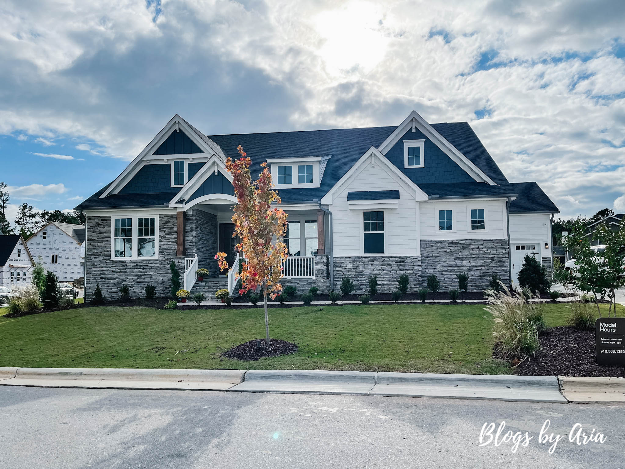 charming craftsman exterior parade of homes tour