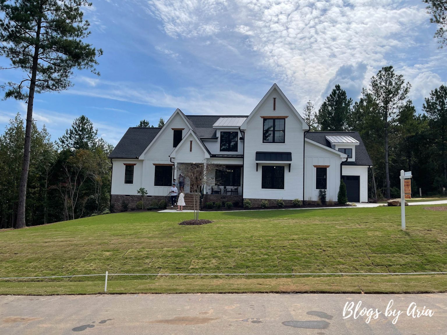 Crescent Ridge Parade of Home Tour Blogs by Aria