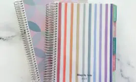 Erin Condren A5 Planner and Companion Planner Review