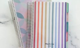 Erin Condren A5 Planner and Companion Planner Review