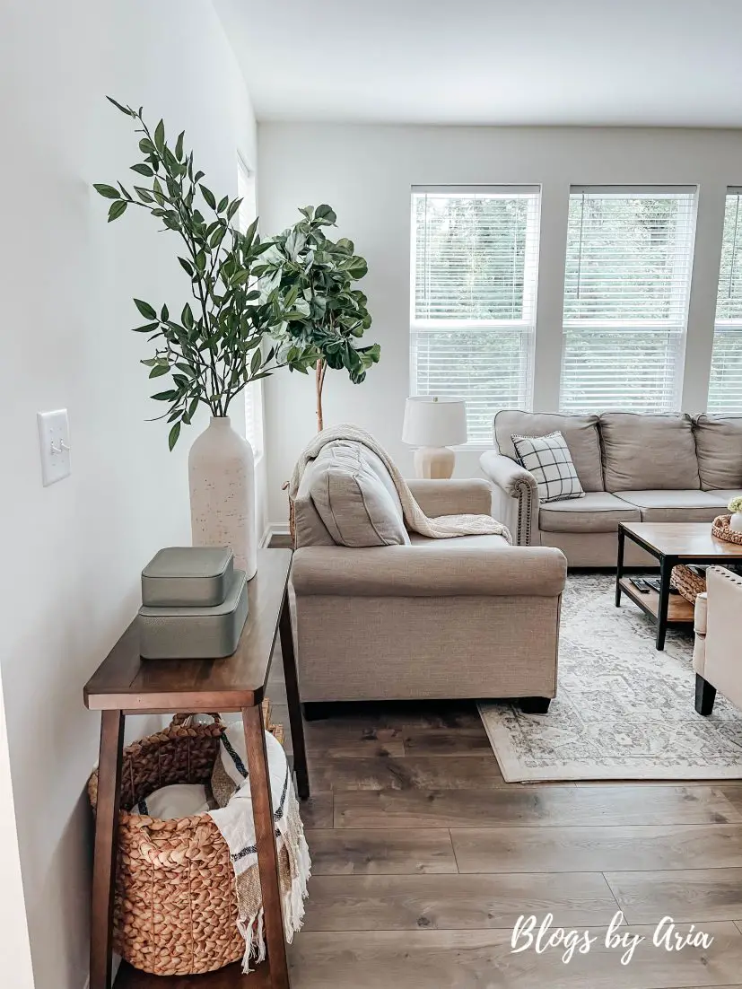 modern organic living room decorating ideas